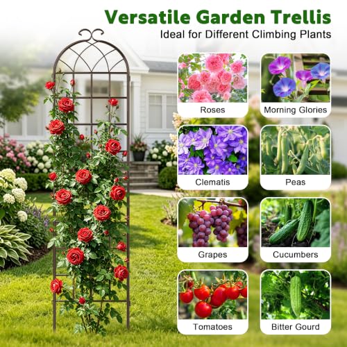 82.7 x 40in Rustic Iron Arch Decoration Garden Trellis with Metal Coating (2 Count)