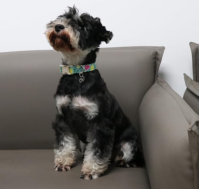 DOGWONG Cotton Dog Collar - Spring Summer Durable Soft Natural Fabric Pet Collar - Cute Wedding Puppy Necklace for Small Medium Large Dogs