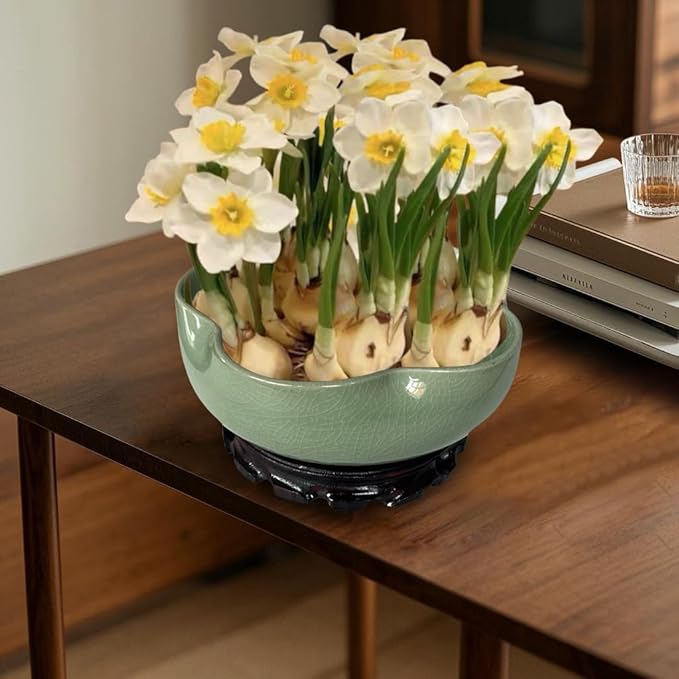 MUZHI Green Ceramic Water Lotus Flower Bowl Planter with Solid Wood Tray, Elegant Hole-Free Ice Crack Hydroponic Water Lily Bowl Pot with Stand 7.8”
