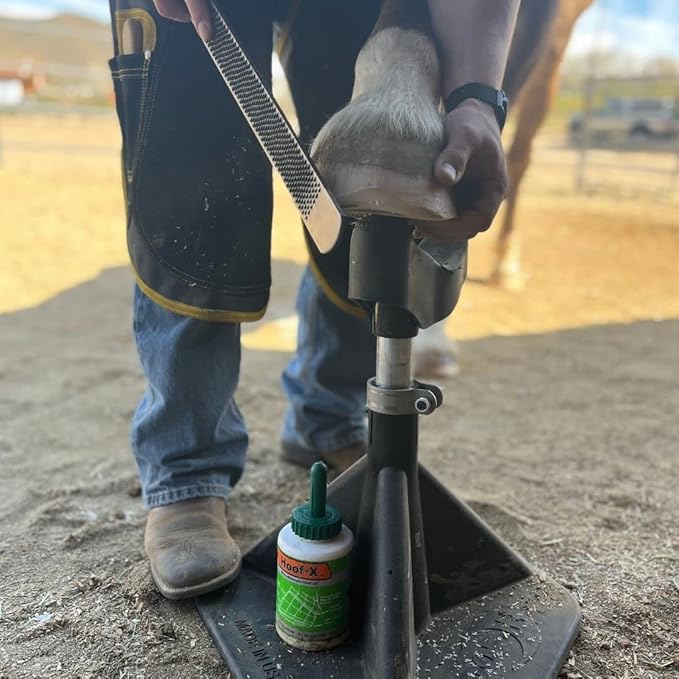 HOOF-IT Blacksmith Farrier Horse Hoof Stand, Black