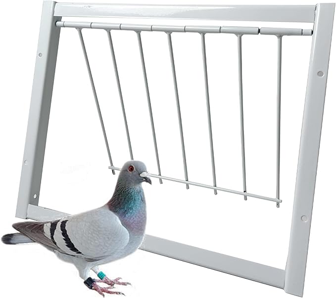 Pigeon Trap Loft Door with Steel Frame, Rust Resistant Bird Cage House Door for Racing Pigeons, Supplies (12in/ 30cm)