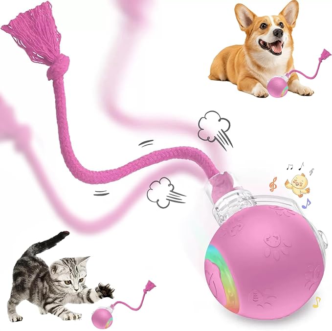 FUNNYDUCK Speed 2.0 Tail Interactive Cat Toy – Motion-Activated Rolling Ball with Chirping Sounds, USB Rechargeable Smart Ball Toy for Indoor Cats & Kittens, Enrichment & Exercise