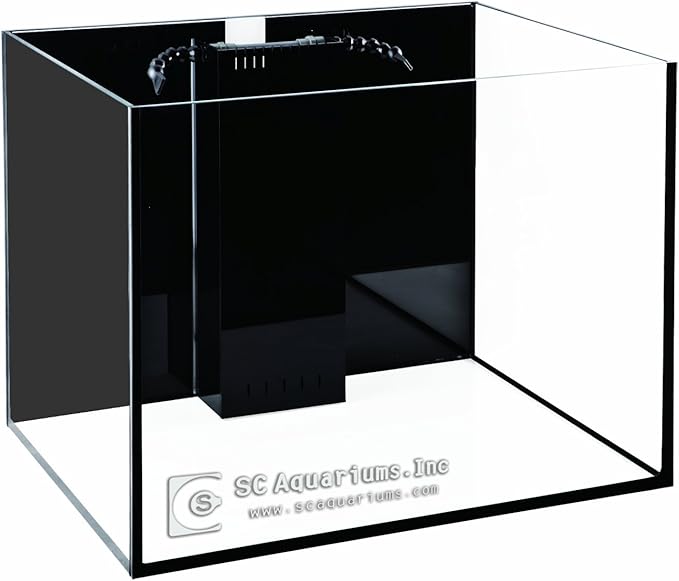 SCA 66 Gallon Starfire Rimless Aquariums Pnp System 32x24x20 10mm with Built-in Overflow