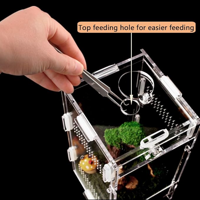 Acrylic Jumping Spider Enclosure, Small Reptile Terrarium Habitat for Tarantula Snail Insect Small Reptile (3.3x3.7x7inch)