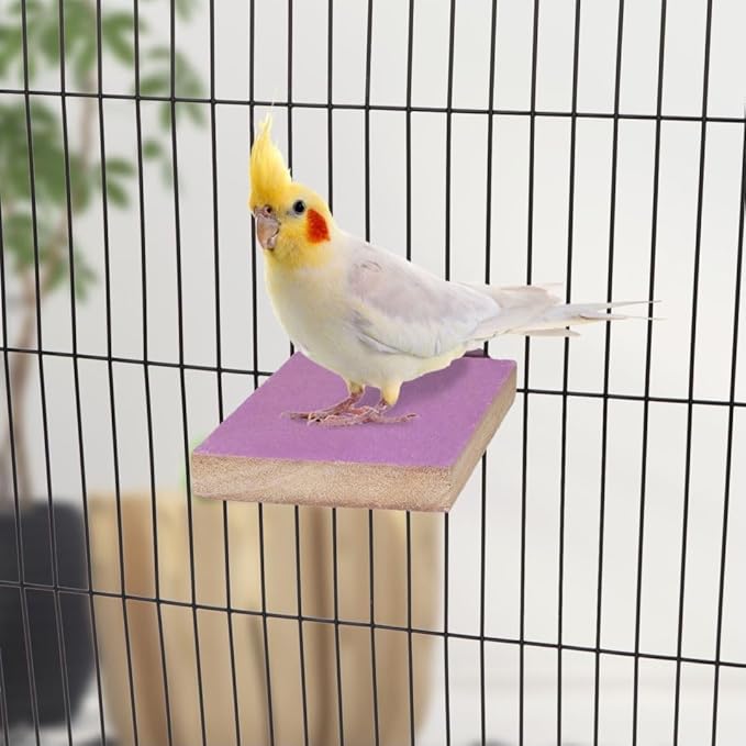 Hypeety Colorful Bird Perch Stand Platform for Parrot Macaw African Greys Budgies Parakeet Cockatiels Natural Wood Paw Grinding Clean Cage Toy (Random Color)(B)