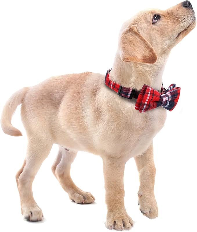 Faleela Soft &Comfy Bowtie Christmas Dog Collar,Detachable and Adjustable Bow Tie Collar,for Small Medium Large Pet (L, Red)