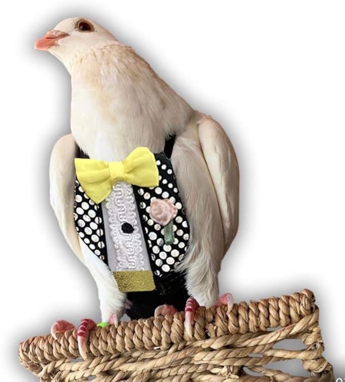 Bev's Bird Boutique Regular Flyper Adjustable Bird Diaper | Reusable, Washable Cloth | Comfort Fit for Parrot, Cockatiels, & Other Small Birds | Fashionable Avian Accessories, Retro Tux, Size 9