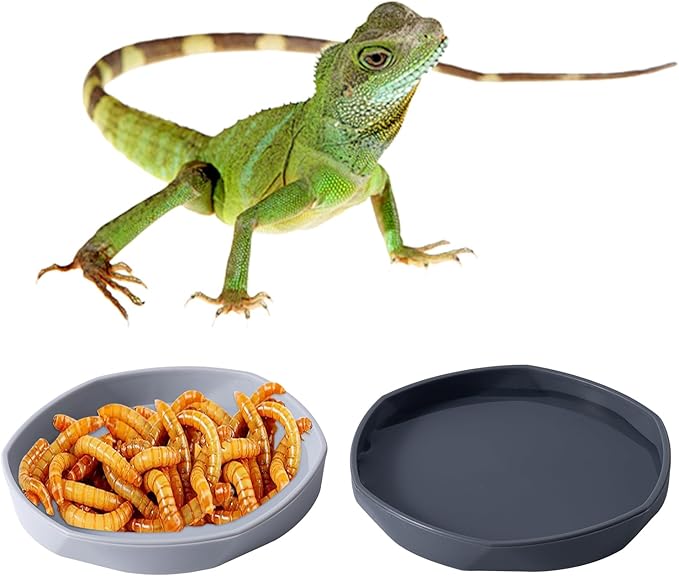 COMSUN 4 Pack Small Reptile Food Dish Bowl, Plastic Worm Water Dish Plate for Lizard Gecko Bearded Dragon Chameleon 4" W x 4" D x 0.5" H, White and Grey
