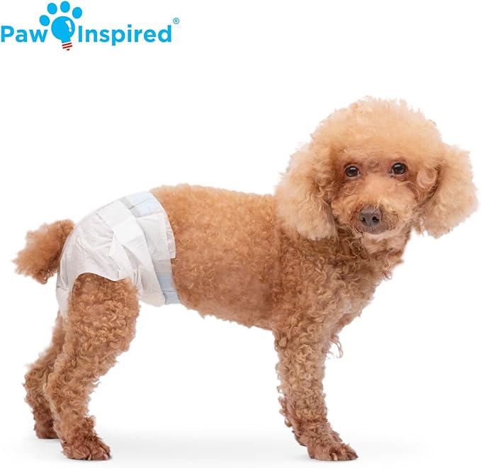 Paw Inspired Disposable Dog Diapers | Female Dog Diapers Ultra Protection | Diapers for Dogs in Heat, Excitable Urination, or Incontinence (12 Count, Small)