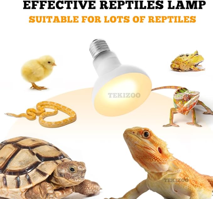 Reptile Heat Lamp Basking Spot Bulb UVA Daylight Light for Amphibian,Lizard,Tortoise,Bearded Dragon 50W(4 Pack)