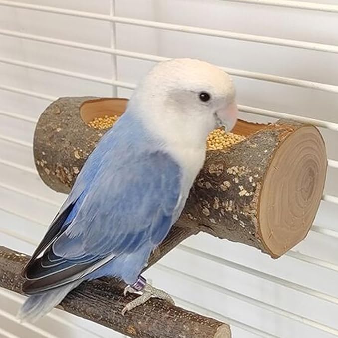 Apple Wood Feeding Bowl for Small Animals, Food Dish for Hamster, Guinea Pig, Chinchilla Rat Gerbils