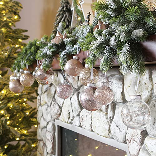 20 Pack Clear Christmas Ball Ornaments with Fillers (20 Count)