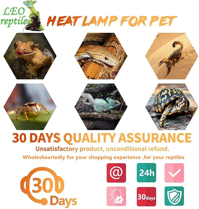 Leoterra 75W Heat Lamp 2PACK Heat Lamp Bulbs for Bearded Dragon, Lizard, Gecko, Frog,Snake,Chicken,Dog E26 Reptile Heat Lamp 75w Ideal for Reptile Terrarium