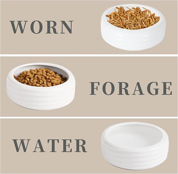 Reptile Food Bowls Ceramic Round Reptile Water Food Dish, Pet Food Bowl for Lizards, Small Snakes, Young Bearded Dragons, Gecko Tortoise Spider (White, Large-1Pack)