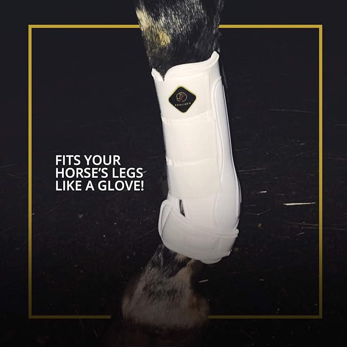 Kavallerie Classic Tendon Boots, Impact-Absorbing Material, Breathable & Evenly Distribute Pressure, Protect Tendon and Ligaments, Anti-Slip, Anti- Sore and Moisture Repellant Show Jumping Boots