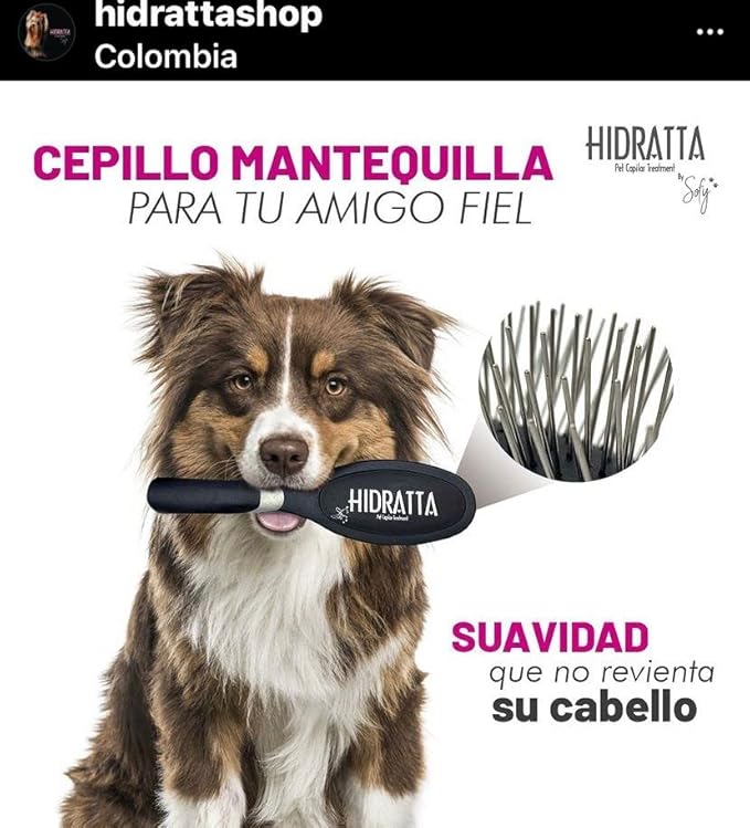 Premium Pet Pin Brush “Butter” – Comfortable Pin Brush for Dogs & Cats, Long & Short Hair, Stainless Steel Pins, Anti-Tangle Grooming Tool