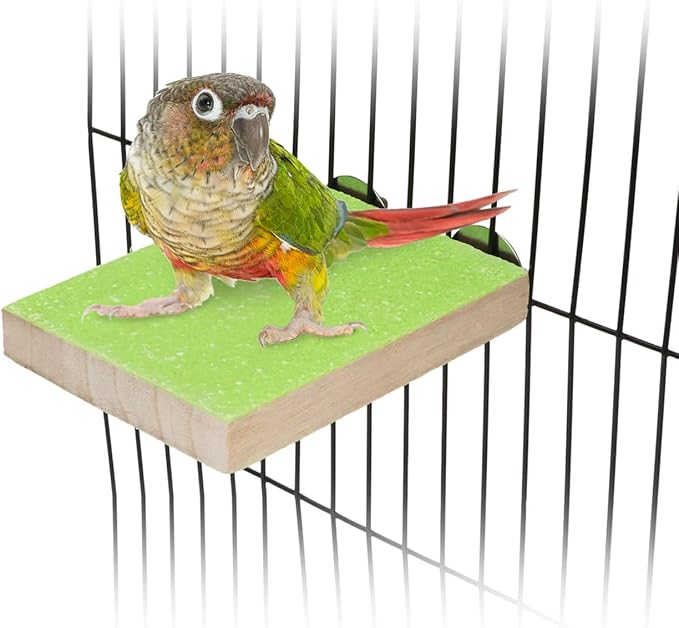 Hypeety Colorful Bird Perch Stand Platform for Parrot Macaw African Greys Budgies Parakeet Cockatiels Natural Wood Paw Grinding Clean Cage Toy (Random Color)(B)