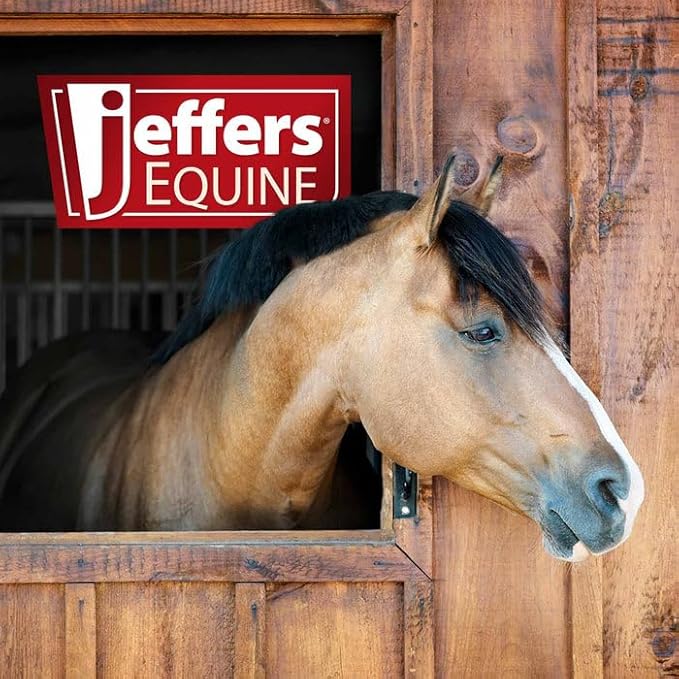 Jeffers Equine Antibacterial & Antifungal Medicated Horse Shampoo 1 Gallon – Gentle Coconut Oil Based Grooming Shampoo for Horses, Daily Bathing, Show Prep, Trail, Stable, Coat & Skin Care