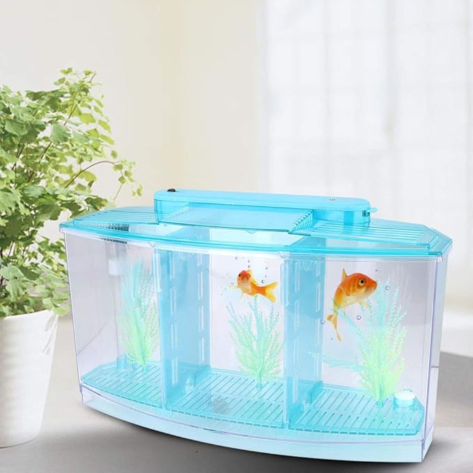 Small Fish Tank with Filter, Aquarium Fish LED Acrylic Three Divisions Breeding Isolation Box for Small Fishes Aquarium Fish (Blue)