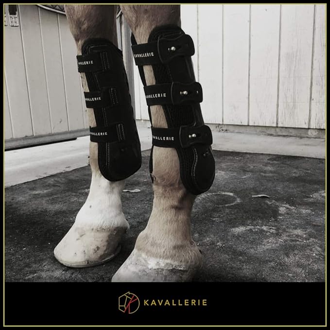 Kavallerie Classic Tendon Boots, Impact-Absorbing Material, Breathable & Evenly Distribute Pressure, Protect Tendon and Ligaments, Anti-Slip, Anti- Sore and Moisture Repellant Show Jumping Boots