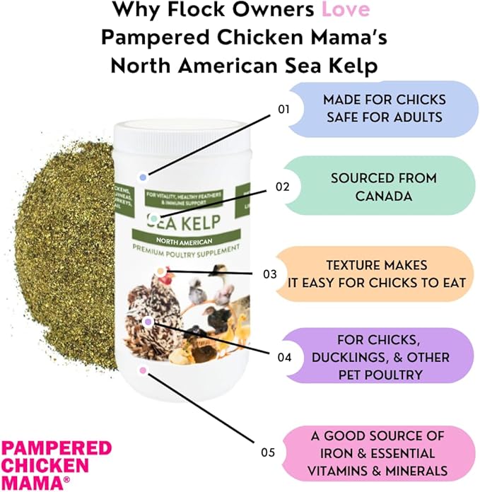 Kelp for Chickens & Duck Feed (5 Pound): Chicken Vitamins | Chicken Supplements | Vitamins for Chickens | Pampered Chicken Mama
