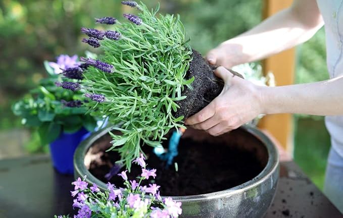 Gardenera Organic Moisture Control Potting Mix - Absorbs 33% More Water Than Basic Potting Soil - 2 Quart