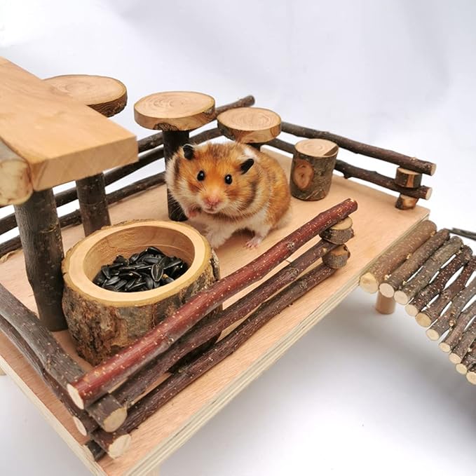 Apple Wood Feeding Bowl for Small Animals, Food Dish for Guinea Pig, Chinchilla, Parrots