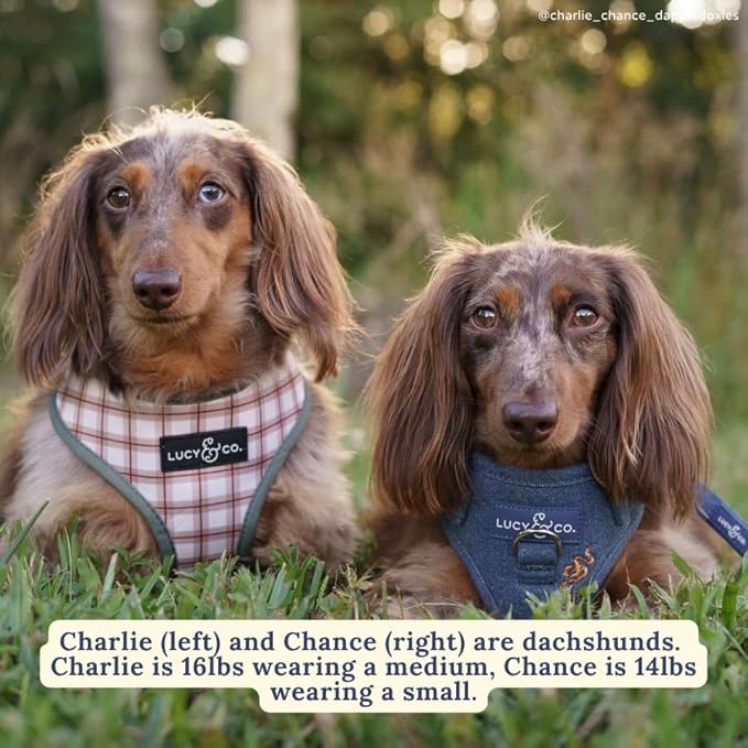 Lucy & Co. Cute Reversible Dog Harness Walking Halter - Best Designer Pet Harnesses for XS - XL Dogs - Padded Adjustable Vest for Easy Walking-Small-Green Outdoor Plaid