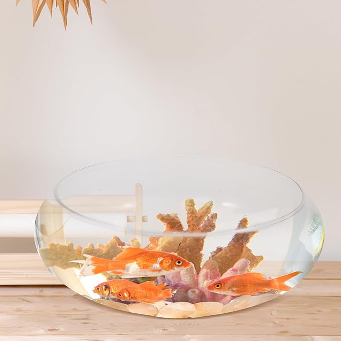 DOITOOL Glass Fish Bowl Clear Round Shallow Aquarium Planter Hydroponic Vase Wide Mouth Fishbowl Planters for Desktop Aquatic Plants and Small Fish Tank