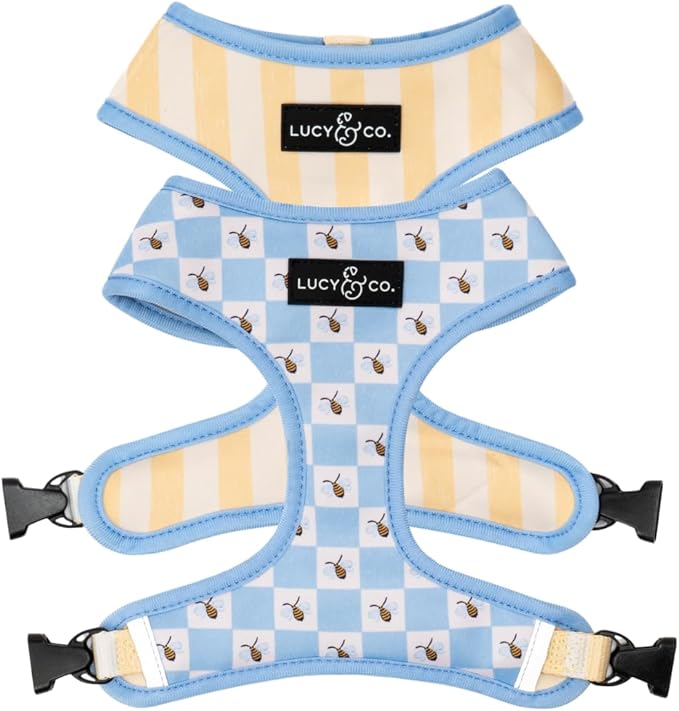 Lucy & Co. Bumbling Around Reversible Dog Harness, Adjustable Comfort Fit with Dual Leash Attachments, X-Small