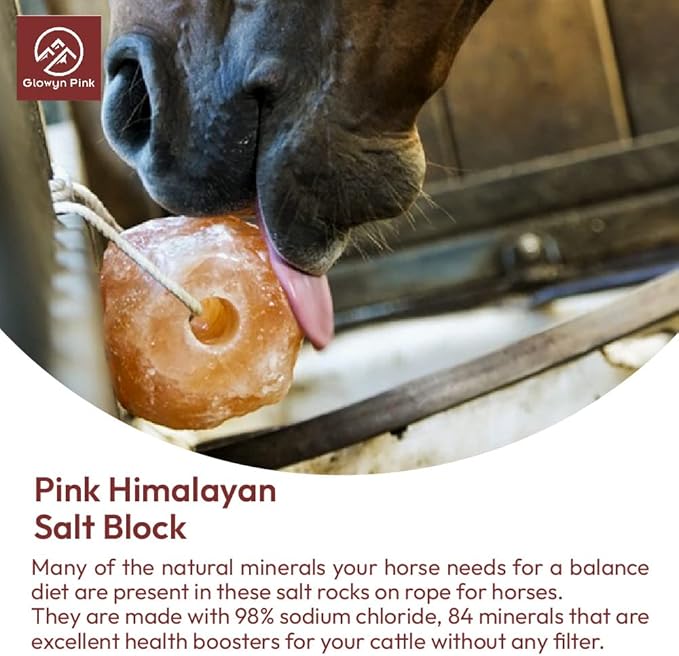 Glowyn Himalayan Salt Lick-Natural Minerals Block on Rope - 4.0 lbs. (6 Packs) - Great for Horses, Cattle, and Live Stock– Long Lasting – Pink Salt Lick