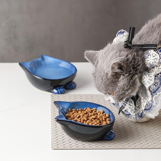 Nihow Ceramic Basic Cat Bowl: 5 Inch Cat Dish for Food & Water - Food Grade, Microwave & Dishwasher Safe - Elegant Blue & Black (4.25 OZ /1 PC)
