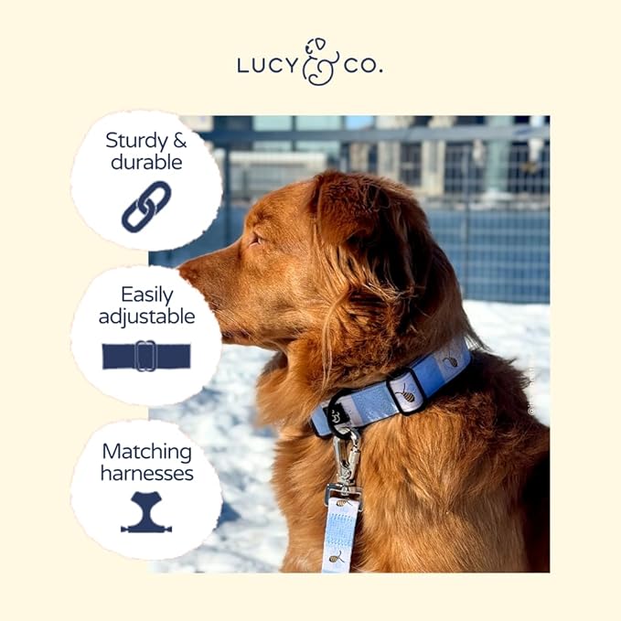 Lucy & Co. Bumbling Around Dog Collar, Adjustable Durable Dog Collar with Cute Print, Medium