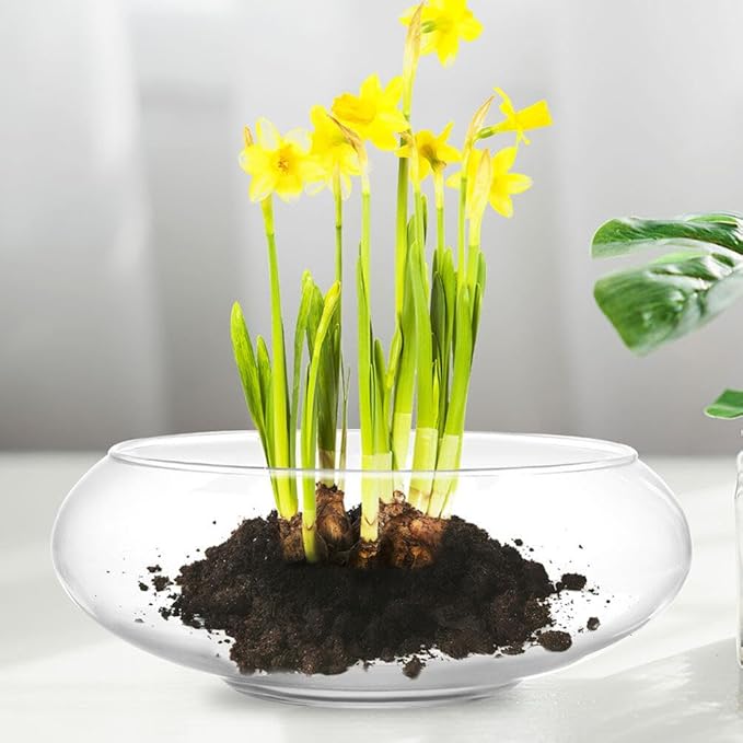 Milisten Glass Vase Bowl, Wide Mouth Flower Vase Round Terrarium Glass Hydroponic Planter Floral Container Clear Fish Bowl Succulents Pot Table Centerpiece 18cm