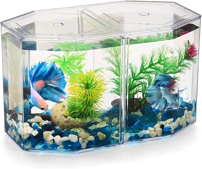 Acrylic Fish Tank Isolation Box with Two Compartments for Betta and Small Tropical Fish Clear Octagonal Breeding Tank Suitable for Home Aquarium