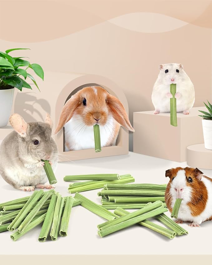 Bissap 35PCS Rabbit Chew Sticks, Natural Papaya Stems Bunny Chews Treats for Rabbit Hamster Chinchilla Guinea Pig Small Animals Organic Molar Chewing Snack