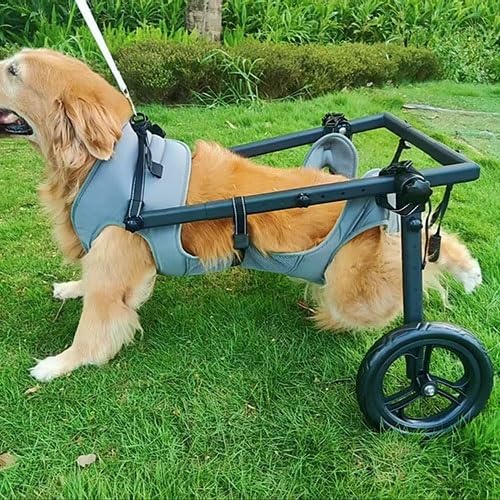 Pet Trolley Adjustable Hind Leg Disabled Dog Mobility Aid Light Rehabilitation Legs Wheelchair Walk Tools(Medium)