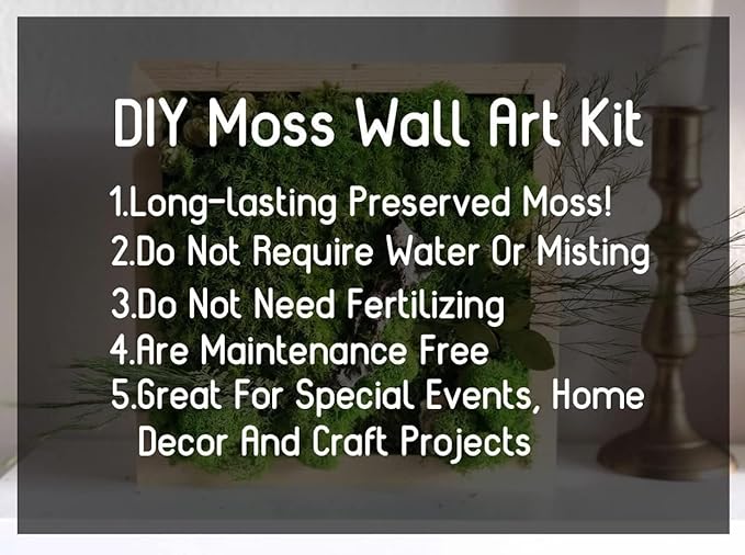 DIY Crafts Assorted Moss Kit Mixed Preserved Stabilized Moss Pillow Cushion Natural Green Real Decoration Sample