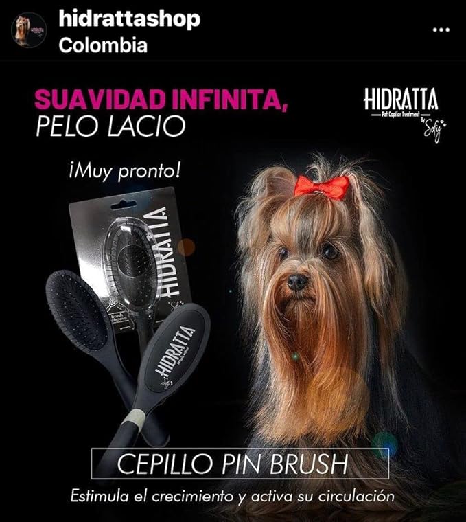 Premium Pet Pin Brush “Butter” – Comfortable Pin Brush for Dogs & Cats, Long & Short Hair, Stainless Steel Pins, Anti-Tangle Grooming Tool