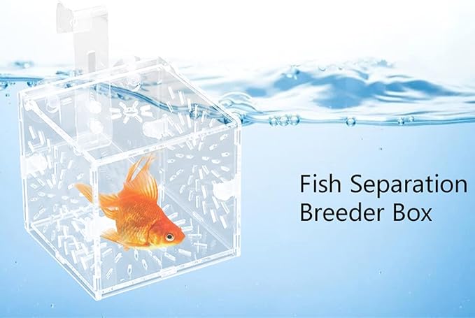 Acrylic Transparent Fish Tank, Breeding Isolation Box Aquarium Hatchery Incubator Holder with Screw Reinforcement, Convenient Use Comes with Isolation Board for Fish Breeding
