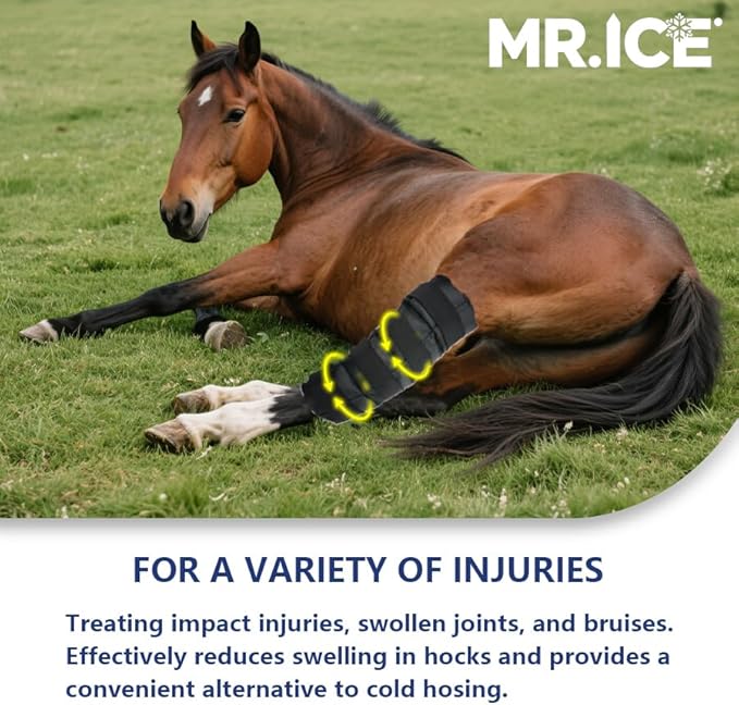 Horse Ice Boot Wraps - Reusable Gel Ice Pack for Horses Boots | Cooling Boot for Horse Injuries& Post-Training, Hock, Knee & Ankle | Horse Supplies & Care Gift Ideas - 1 Pair/Black
