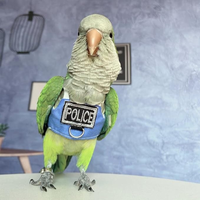 Bird Flight Harness Vest, Parrot Flight Suit with Leash, Bird Flying Clothes with Rope and Handle for Outdoor Activities (Without Leash,Lovebird)