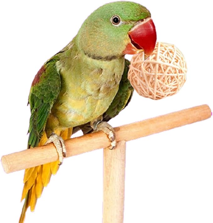 Parrot Chew Toys Bird Toys, 30 Pcs 1.2 inch Rattan Wicker Balls Parakeet Chewing Toys, for Budgies Conures Hamsters Bunny Toy, Decoration for DIY Craft Party Wedding