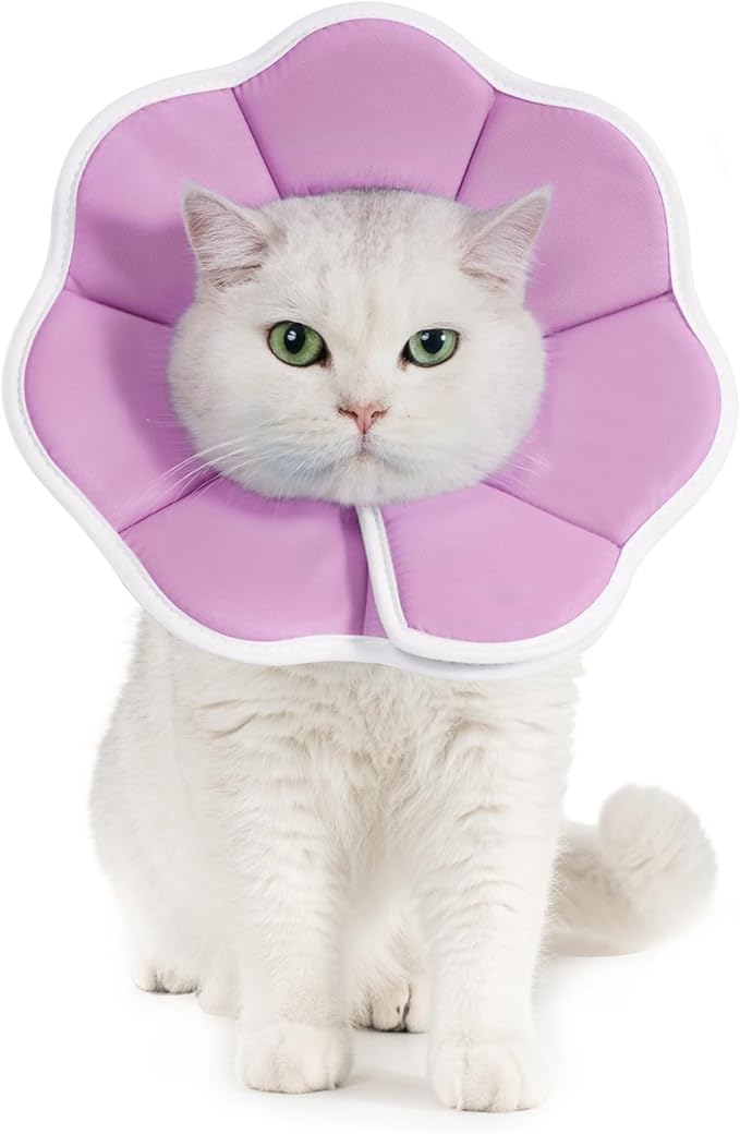 Avont Soft Cat Recovery Cone Collar, Adjustable Lightweight Kitten E-Collar for Small Dogs, Comfortable Neck Donut Stop Licking Scratching After Surgery -Purple(M)