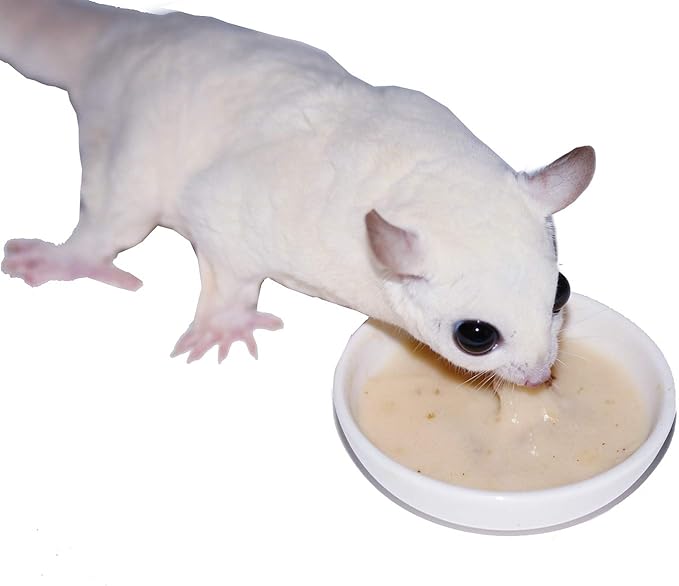 Instant-HPW - All Natural Vitamin Enriched Sugar Glider Food - Healthy & Nutritious - High Protein Wombaroo - Staple Diet (1 lb)