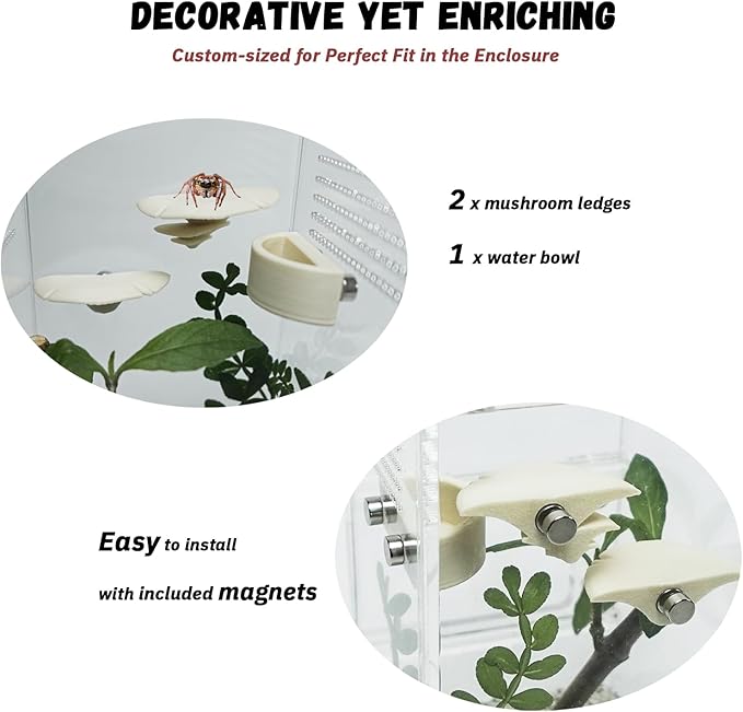 Jumping Spider Enclosure with Mushroom Ledges & Water Bowl Accessories, Acrylic Reptile Terrarium Habitat for Tarantulas, Bugs, Snails, Mantis, Small Insects, Dual Doors, No Assembly Required