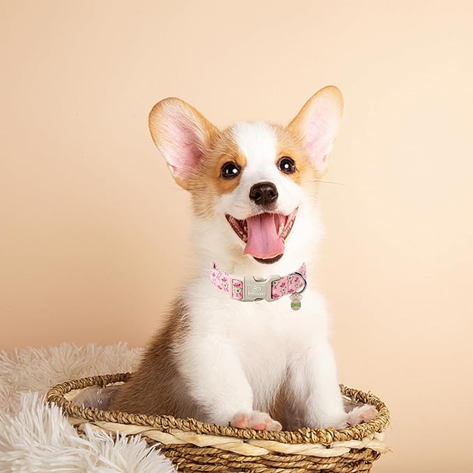 Easter Dog Collar for Small Dogs - Cowgirl Chick Easter Collars for Dogs, Pink Girl Dog Collar, Adjustable Spring Holiday Pet Collars with Quick Release Buckle XS