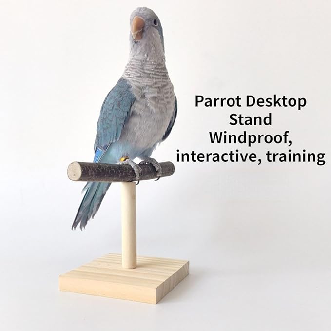 Bird Perch Stand, Bird Training Portable Tabletop Platform, Parrot Cage Toy Gym Accessories for Parakeets Cockatiels, Conures, Macaws, Finches Lovebirds