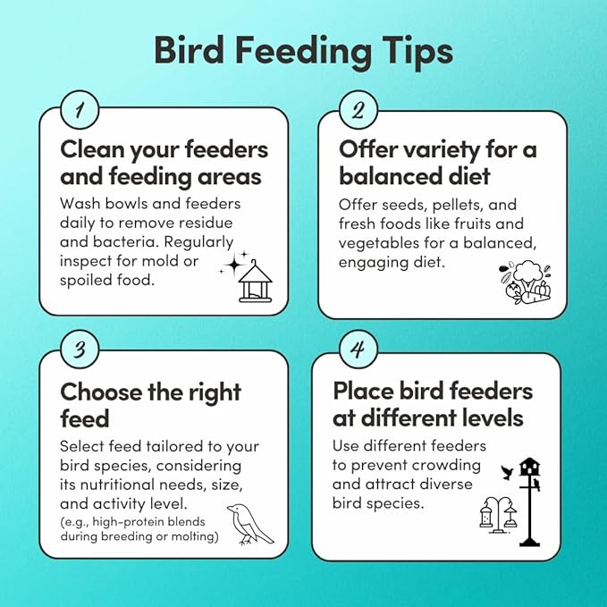 Mycelium Pet Bird Superfood | Bird Seed for Parakeets, Finches, Canaries | Vitamin-Enhanced Mix with Egg, Millet, Canary Seed, & Kelp | Feather & Molting Support | Organic & Non-GMO 5 lb Bag
