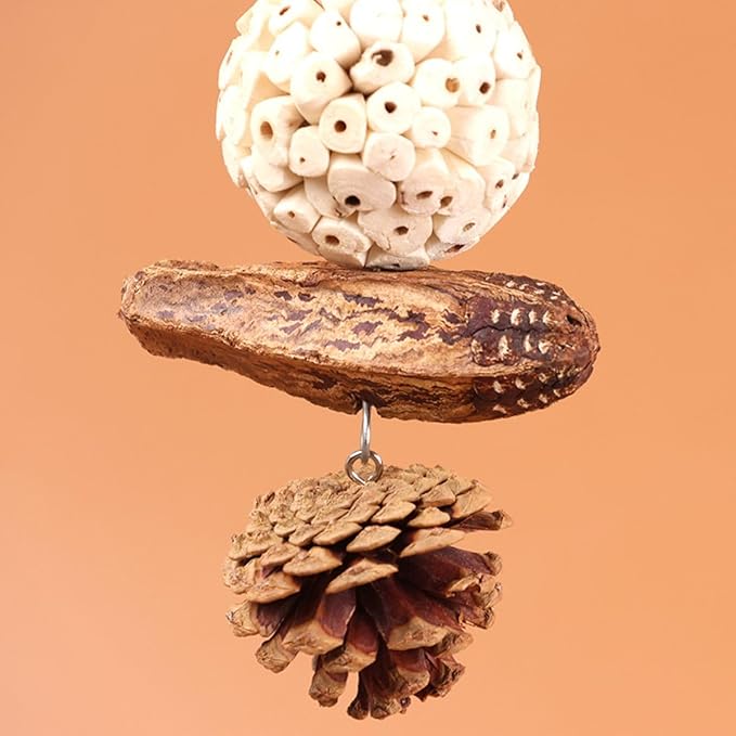 Bird Chew Toy for Pet Bird Parrot Sola Ball Natural Nuts Pinecone Chewing Toy for Small Parakeet Cockatiel Conures Finch Budgie (S)